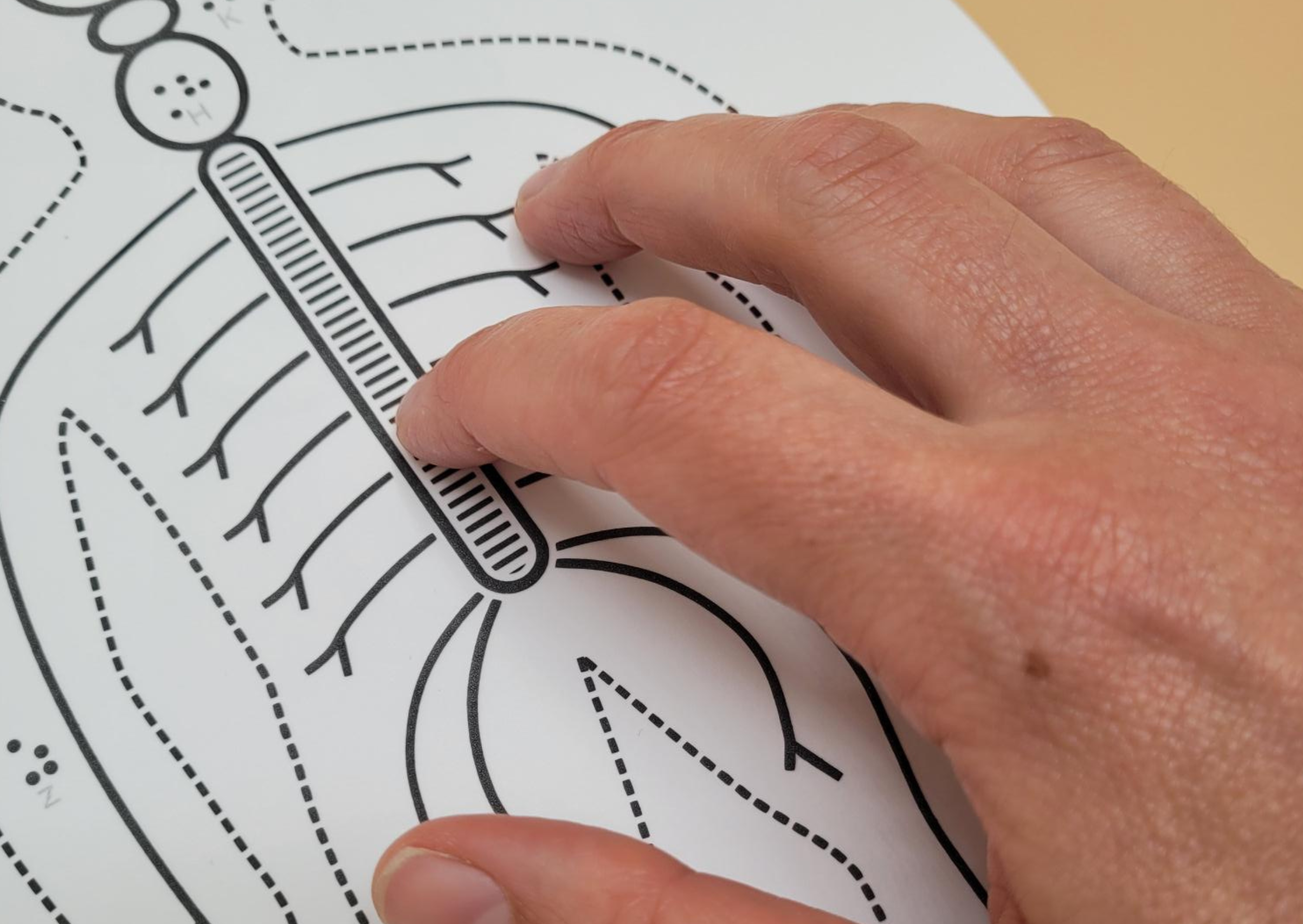 Afbeelding van een hand die op de tast een voelbare tekening verkent