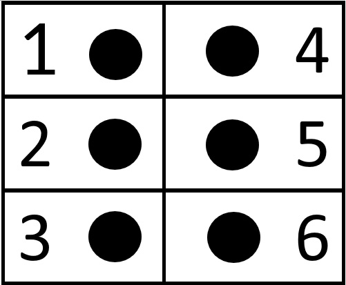 6 punts braille