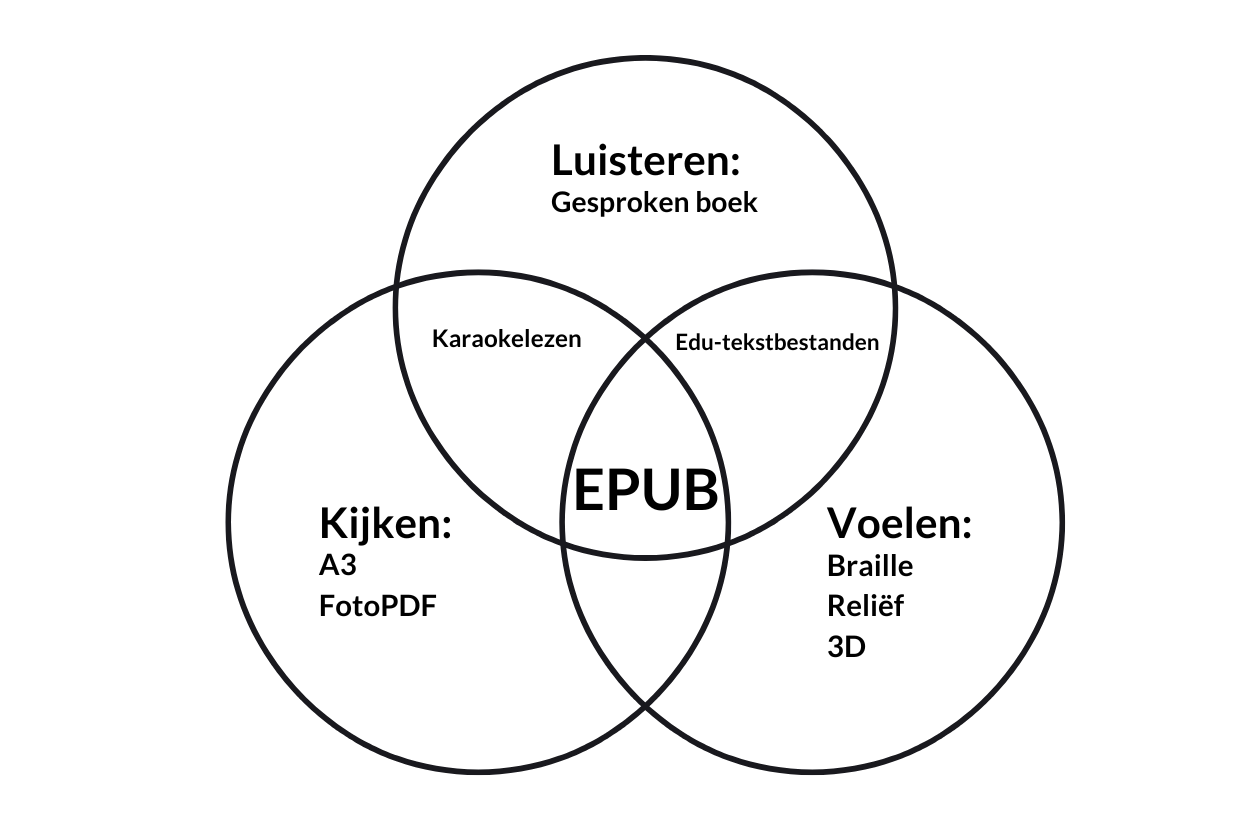 Kijken: vergrotingen (print en digitaal) Voelen: braille, reliëf, 3D Luisteren: gesproken combinaties - tekstbestanden (TNS en braille), - karaokelezen (tekst en audio synchroon) - Waar alles in samenkomt: EPUB3 